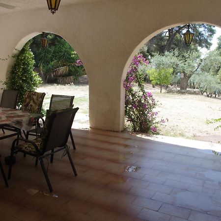 Chalkidiki Beachfront Haven - Perfect Location Никити Экстерьер фото